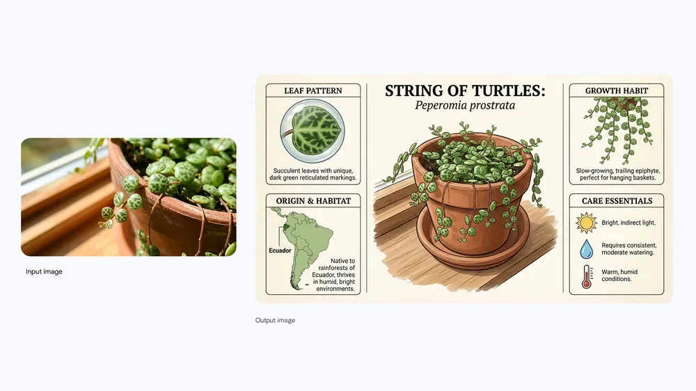 Google example of a plant design visual generated with Nano Banana Pro